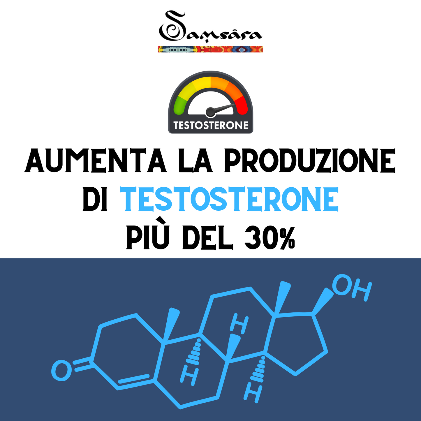 Samsara Shilajit TESTOSTERONE PLUS | Ashwagandha ksm-66 | Estratto di Tribulus Terrestris | Erbe medicinali - Più Vigore ed Energia, 30% in Più Testosterone, NO Amaro. (10g) - SamsaraFragrances