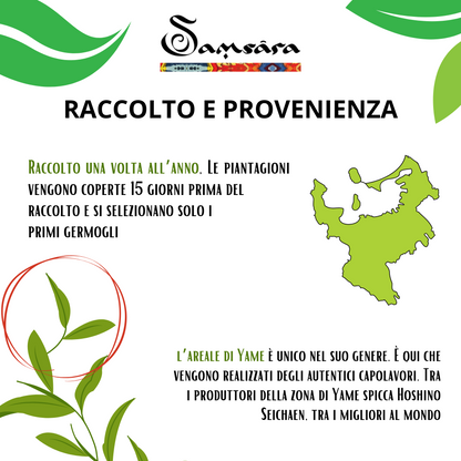 Samsara Kit pronto all'uso Matcha Cerimoniale Grado IMPERIALE Premium - SamsaraFragrances