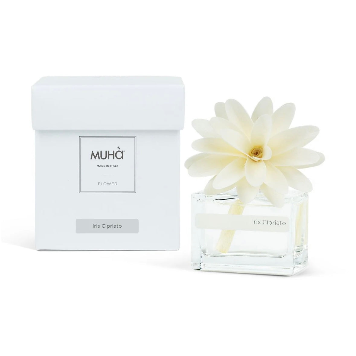 MUHÀ Flower Diffuser Profumatore d'ambiente con fiore - Iris Cipriato
