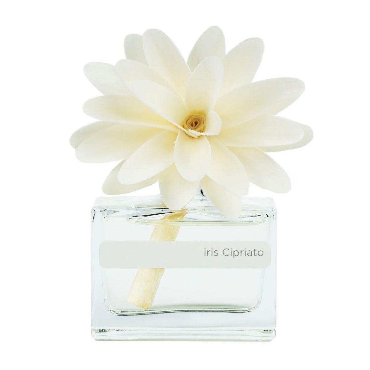 MUHÀ Flower Diffuser Profumatore d'ambiente con fiore - Iris Cipriato