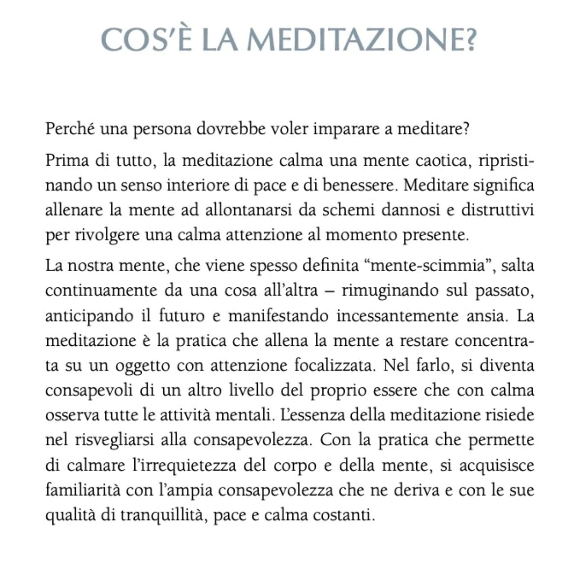Libro "Il Piccolo Libro della Meditazione" David Pond - Tecniche meditative