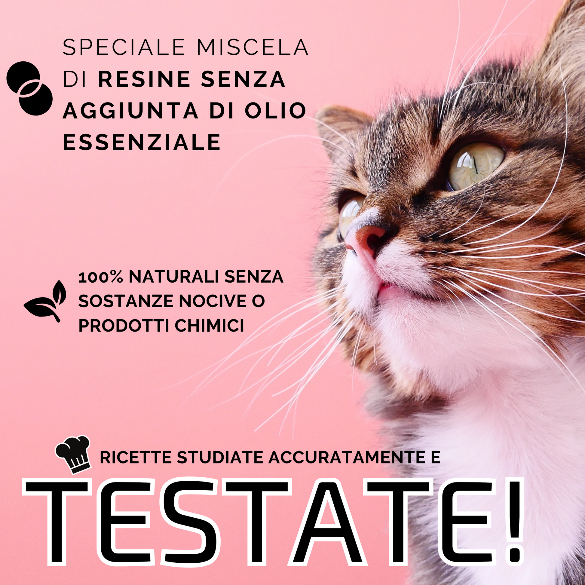 Samsara - Incenso in Bastoncini Per Animali Fatto a Mano 100% Naturale, Aiuto all'Educazione e Risposta al Comando per Amici a 4 Zampe - Aromaterapia per animali - 15gr (EDUCATION) - SamsaraFragrances