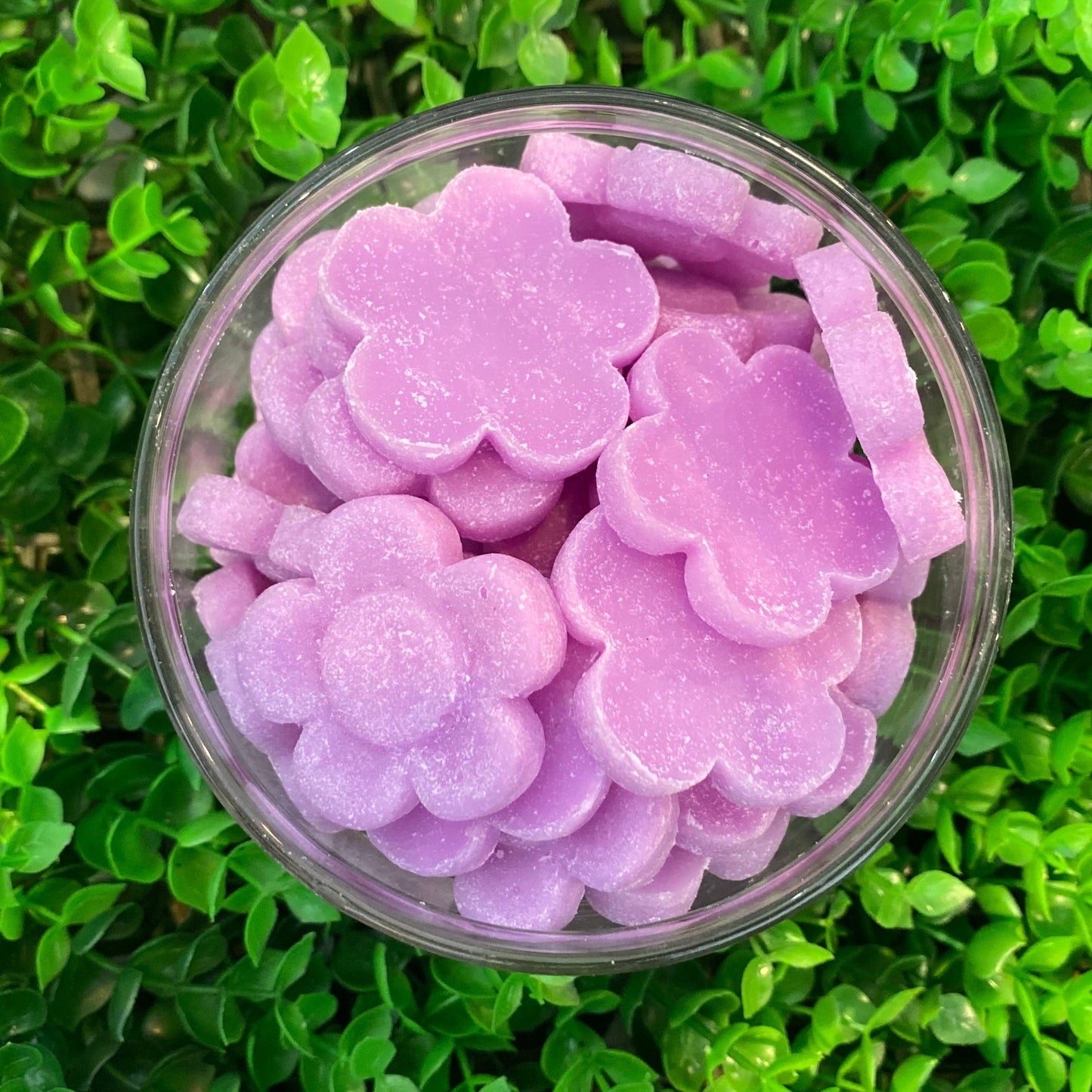 Bomb Cosmetics Little Hotties - Fragranze solide Profumate Da Sciogliere su Bruciatore - varie Fragranze 100g - clorophilla-shop