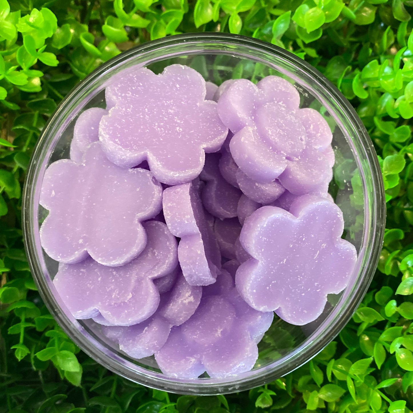 Bomb Cosmetics Little Hotties - Fragranze solide Profumate Da Sciogliere su Bruciatore - varie Fragranze 100g - clorophilla-shop