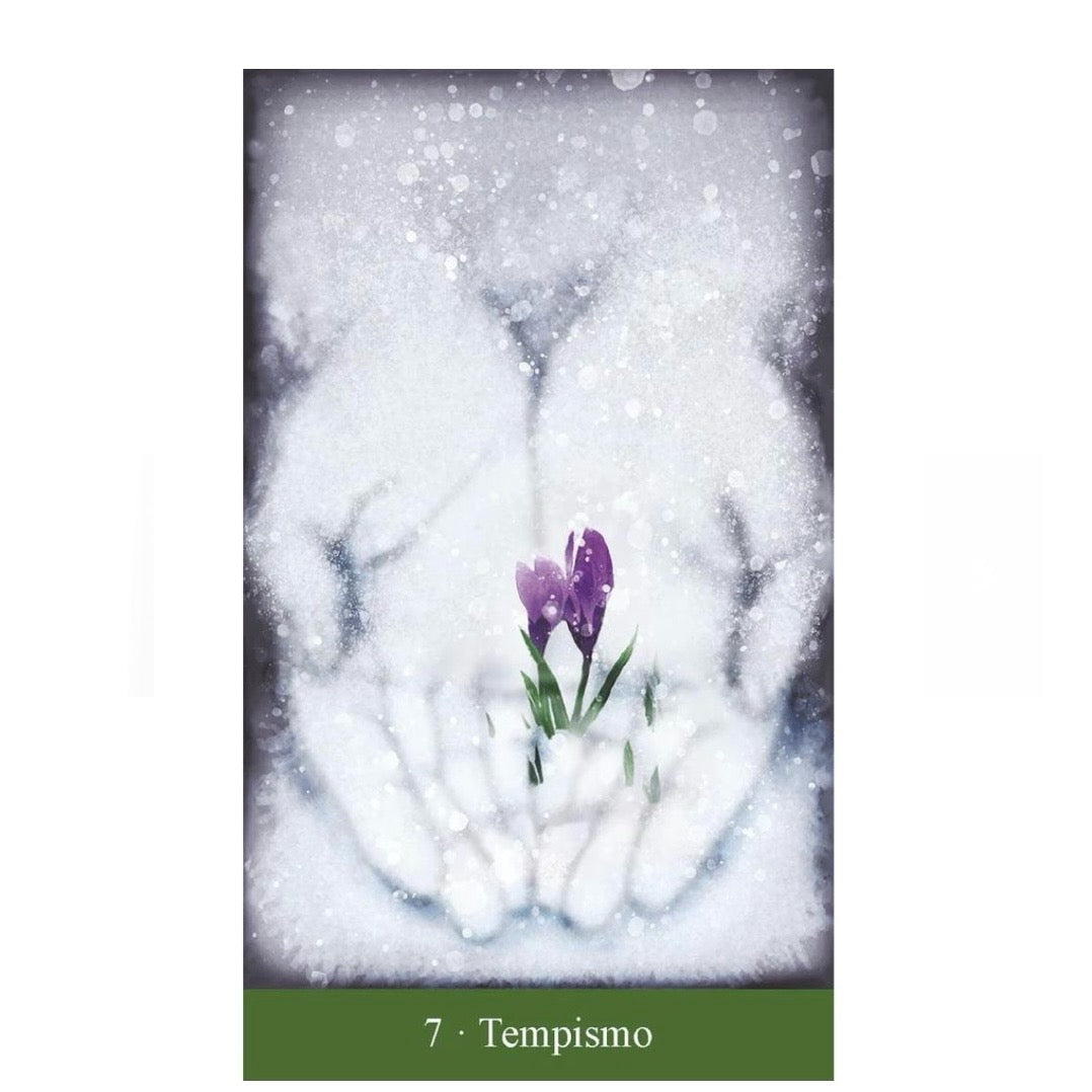 Lo Scarabeo "I tarocchi del Divino Femminile" kit - 78 carte con libro